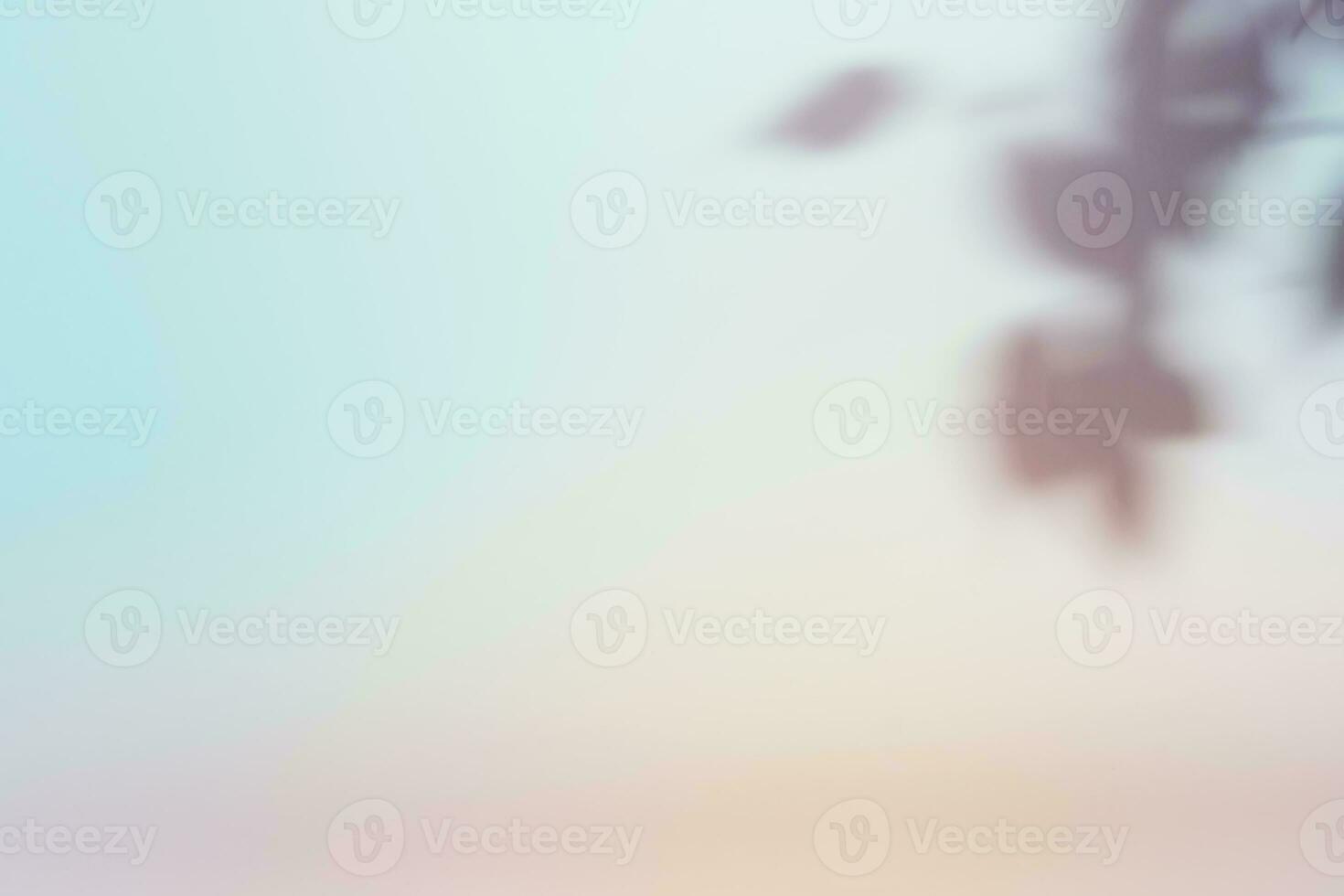 natürlich Laub Schatten auf Gradient Papier Hintergrund. abstrakt Pastell- Blumen- Hintergrund. Sanft Licht foto