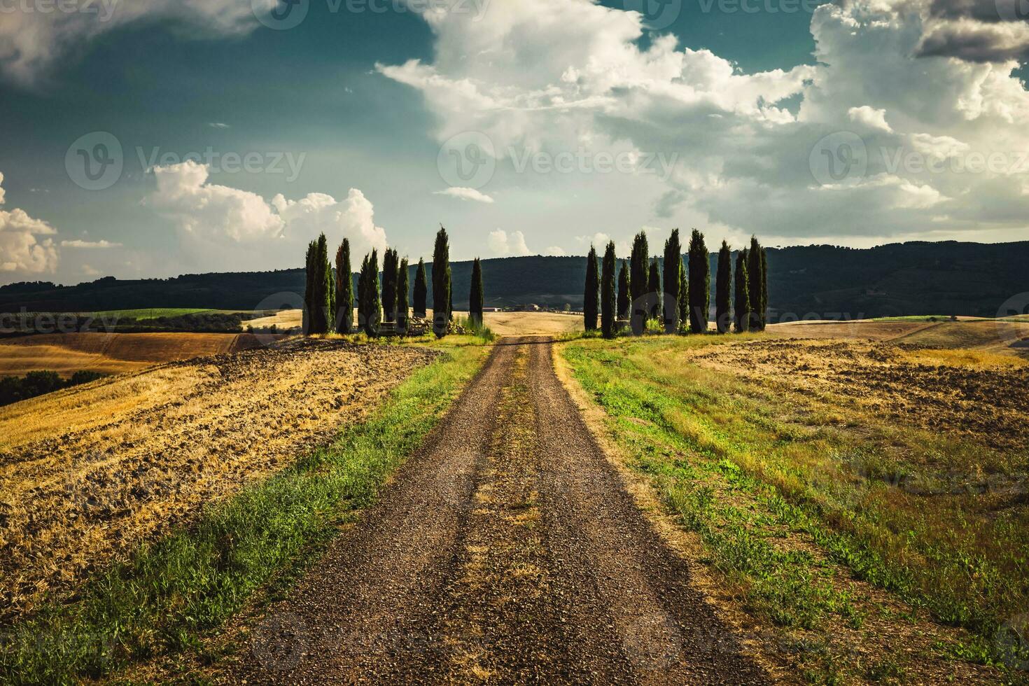 schön Landschaft von Toskana foto