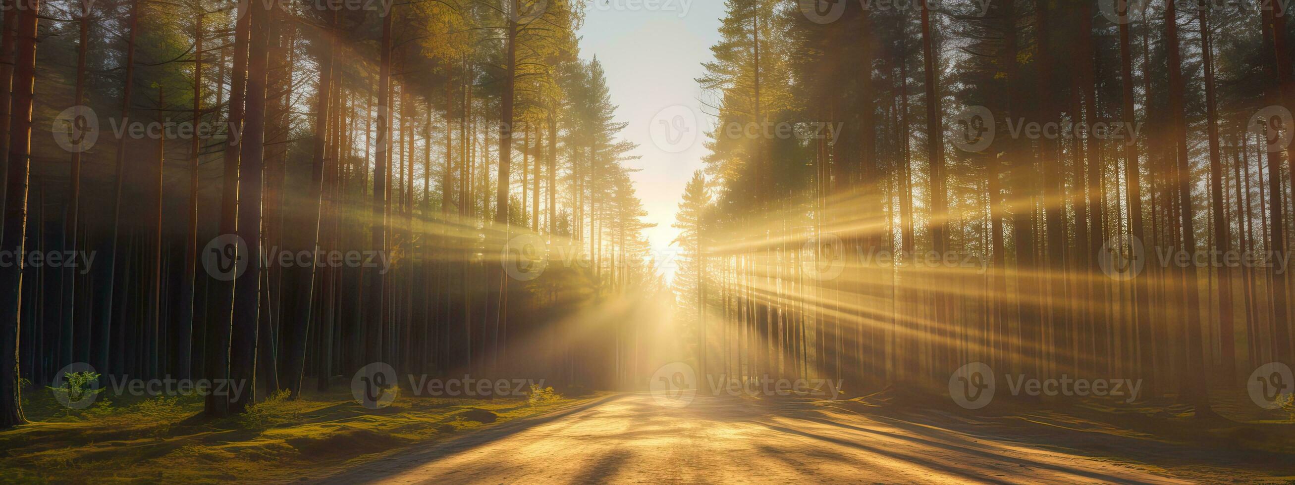 ai generiert Sonnenstrahlen scheinen durch das Bäume auf zu ein leeren Straße im ein Kiefer Wald foto