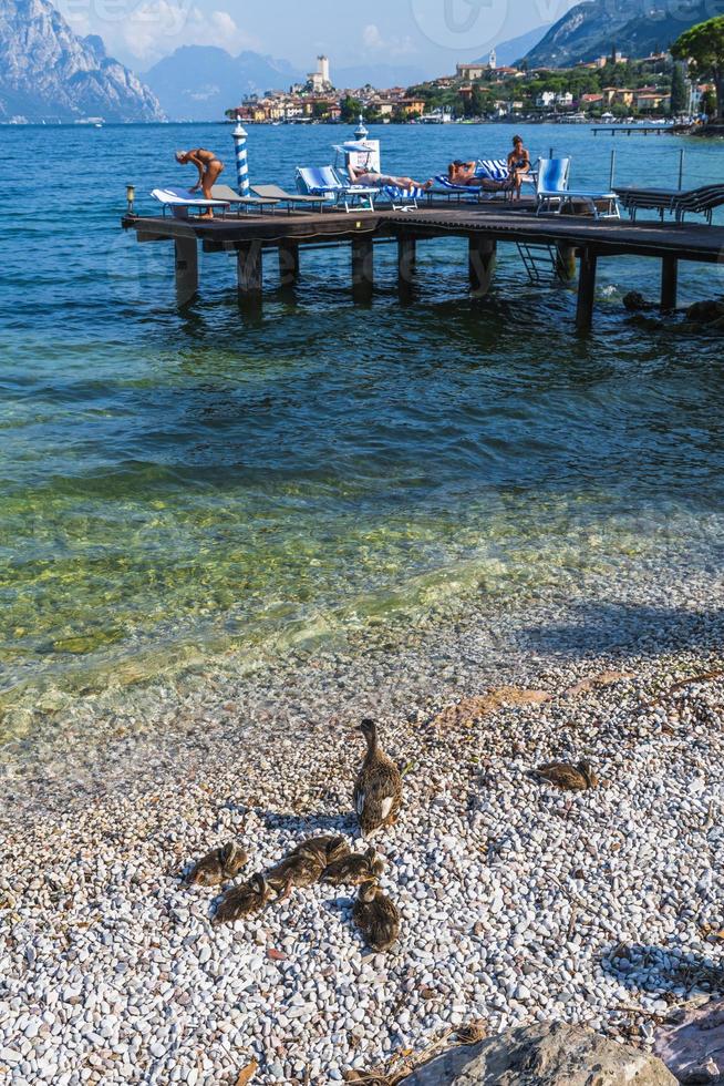 Gardasee und das historische Zentrum von Malcesine. foto