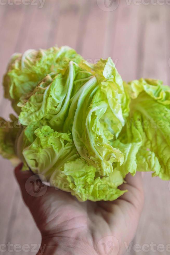 Weißkohl in der Hand foto