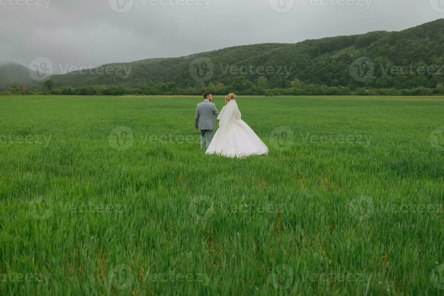 weiter Winkel Porträt von das Braut und Bräutigam Gehen auf ein Grün Wiese gegen das Hintergrund von Berge. Rückseite Sicht. großartig Kleid. stilvoll Bräutigam. Hochzeit Foto