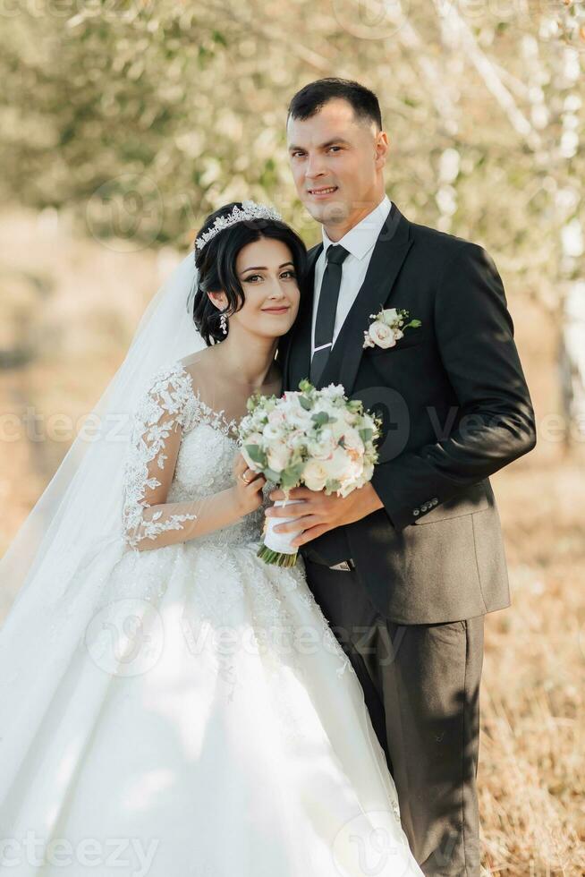 Hochzeit Foto im Natur. das Bräutigam im ein schwarz passen und das Braut im ein Weiß Kleid mit ein Zug sind Stehen im ein Feld gegen das Hintergrund von Bäume, das Braut und Bräutigam sind suchen beim das Kamera.