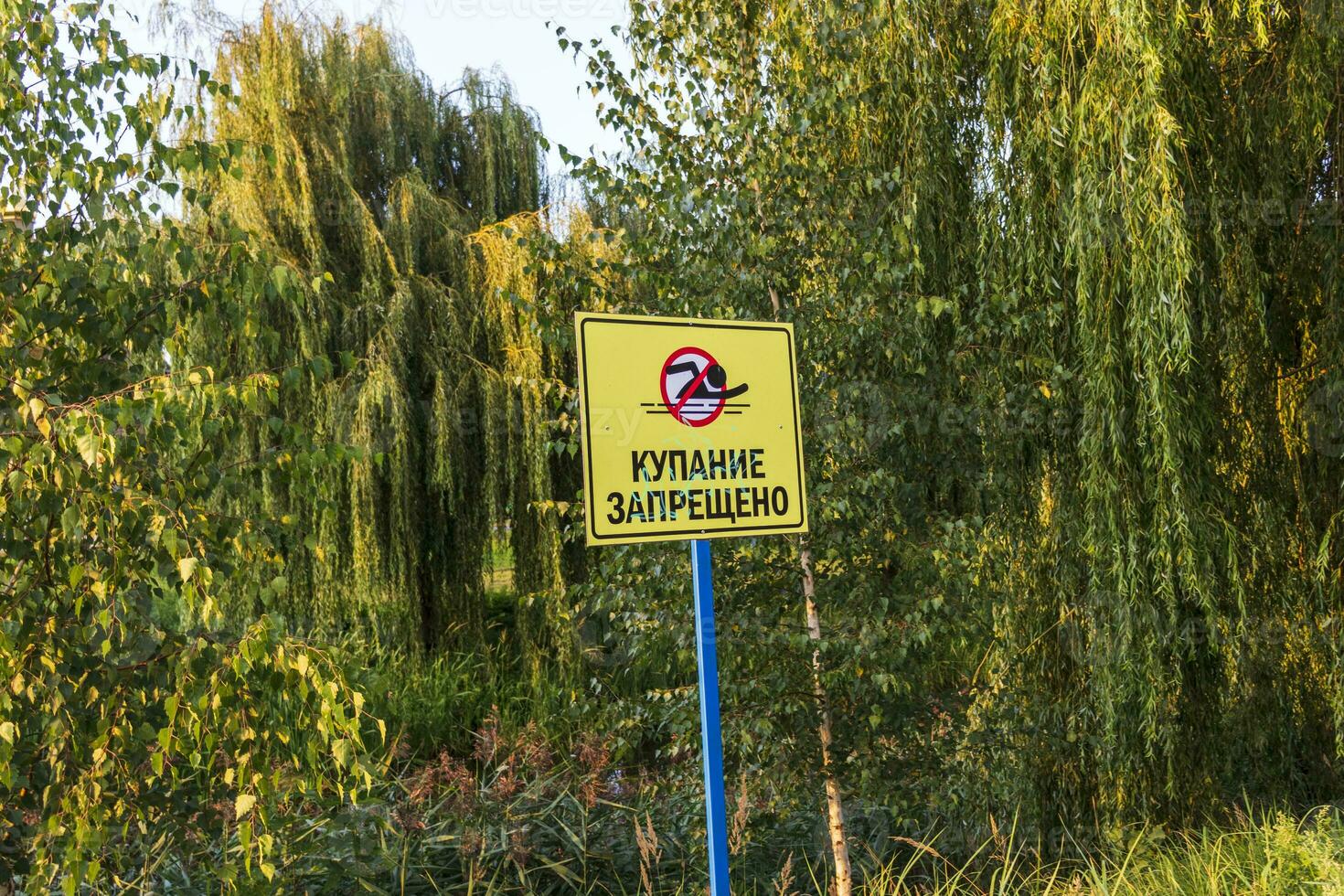 Schild angeben Das Schwimmen ist verboten im Russisch Sprache. Konzept foto