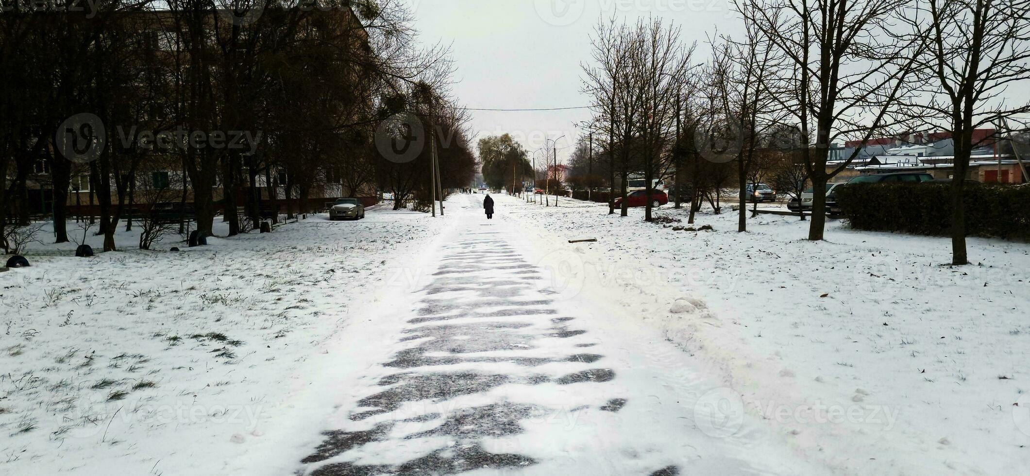 Landschaft Schuss von das Straße auf das Winter Tag, Jahreszeit foto