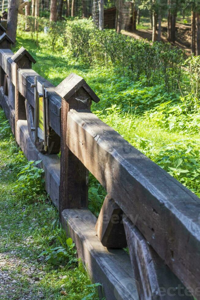 Schuss von das Straße im das Dorf. draußen foto