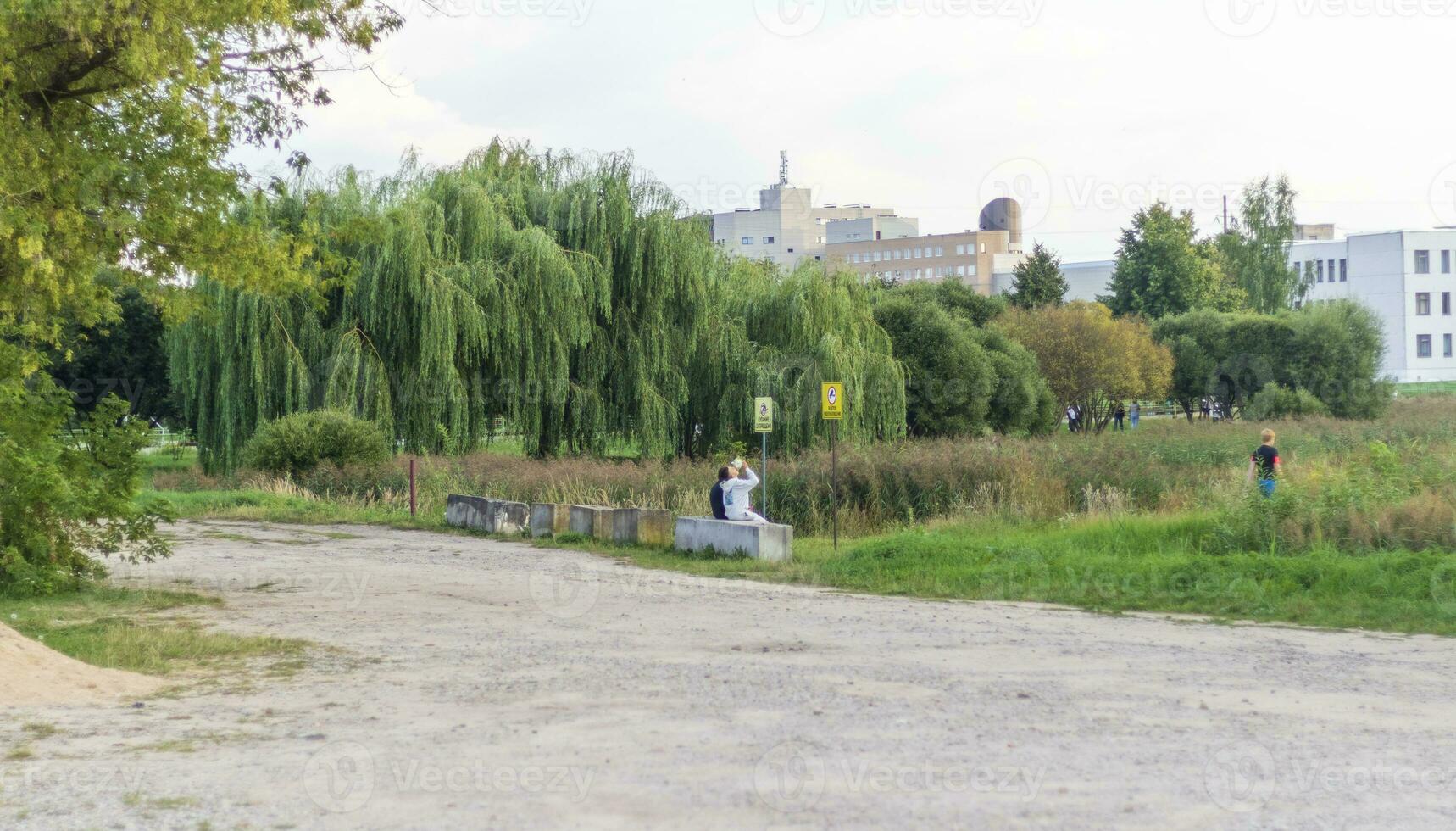 Landschaft Schuss von das schön Park. draussen foto