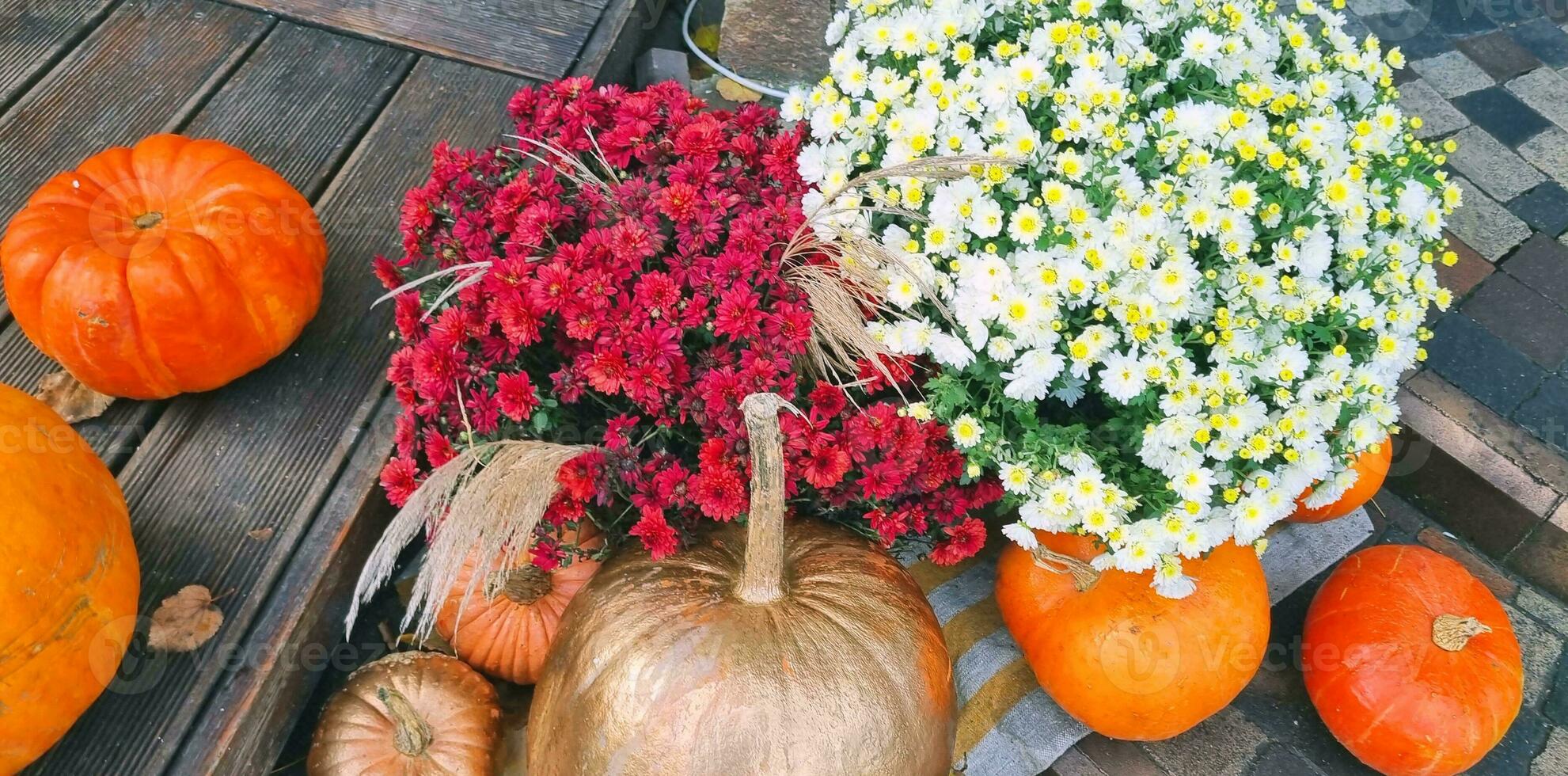 schließen oben Schuss von das Halloween Dekorationen. Feier foto