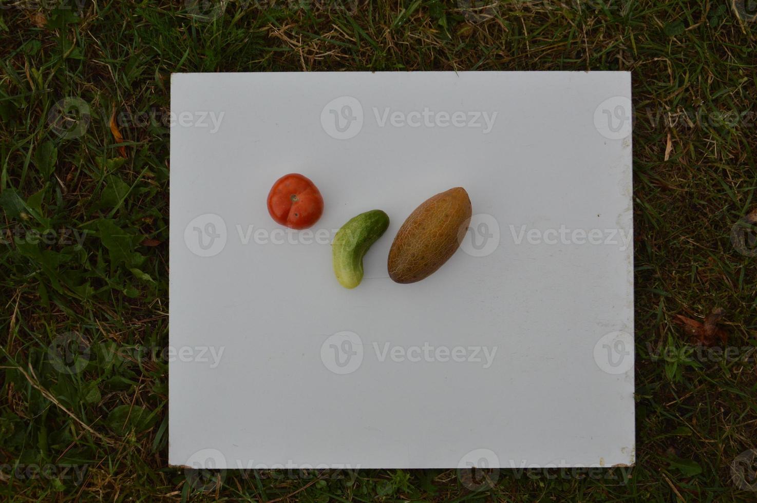 Gegenstände auf weißem Hintergrund auf dem Gras foto