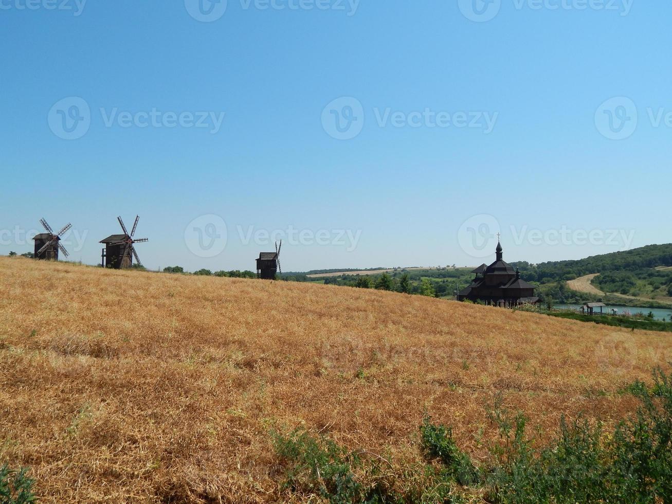 Feld außerhalb der Stadt, landwirtschaftliche Pflanzen foto