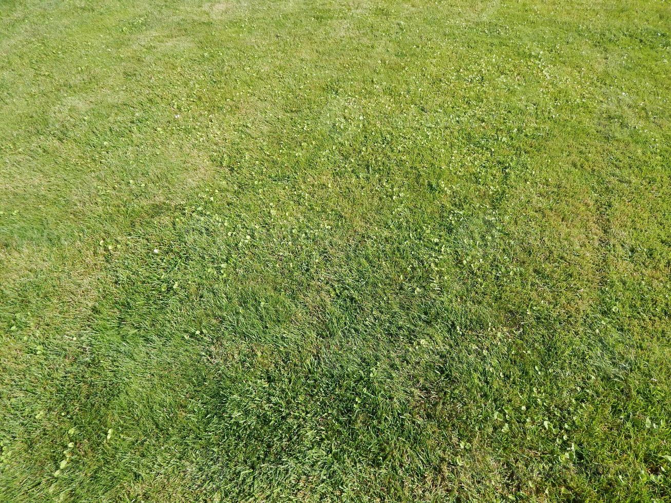 grüner Hintergrund und die Landschaft im Park foto