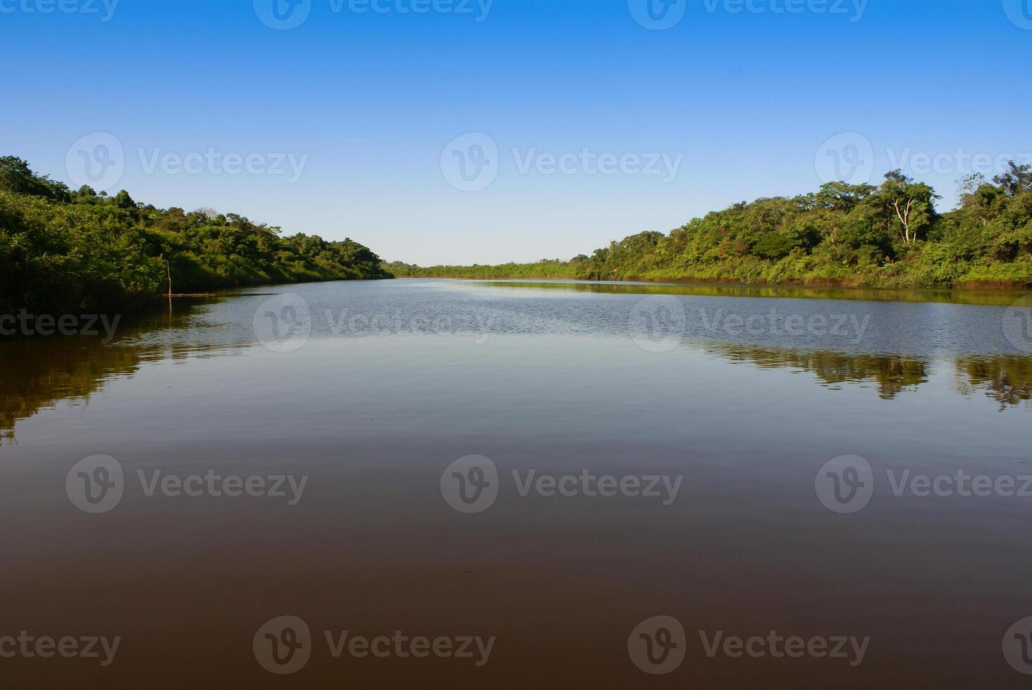 ein Fluss und schön Bäume im ein Regenwald Peru foto