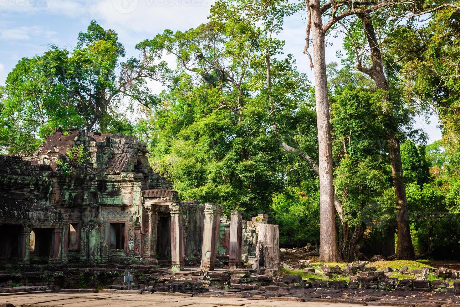 Ruinen von pra Khan Tempel im Angkor thom von Kambodscha foto