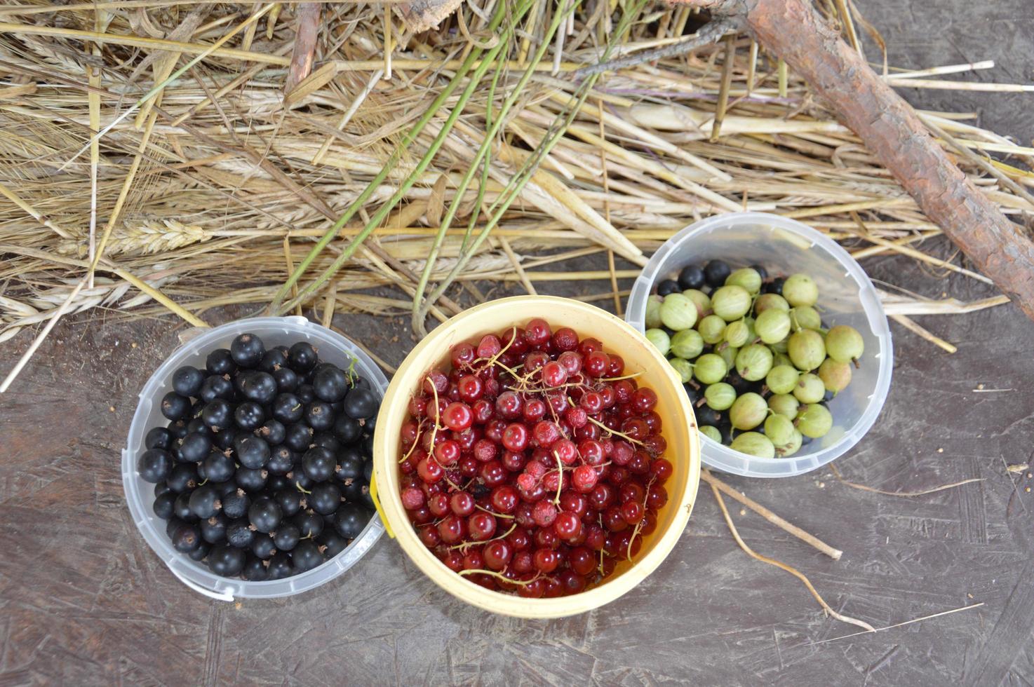 Stillleben mit geernteten Beeren und Gemüse im Garten foto