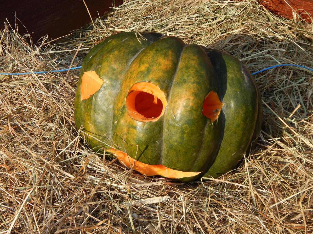 halloween feiertag geschnitzter kürbis foto