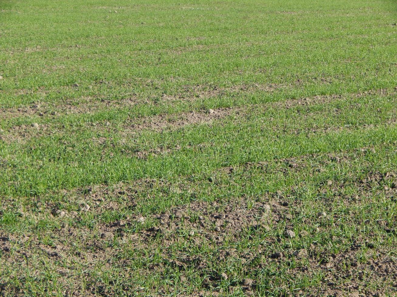 Traktor gepflügtes Feld und Ackerland foto