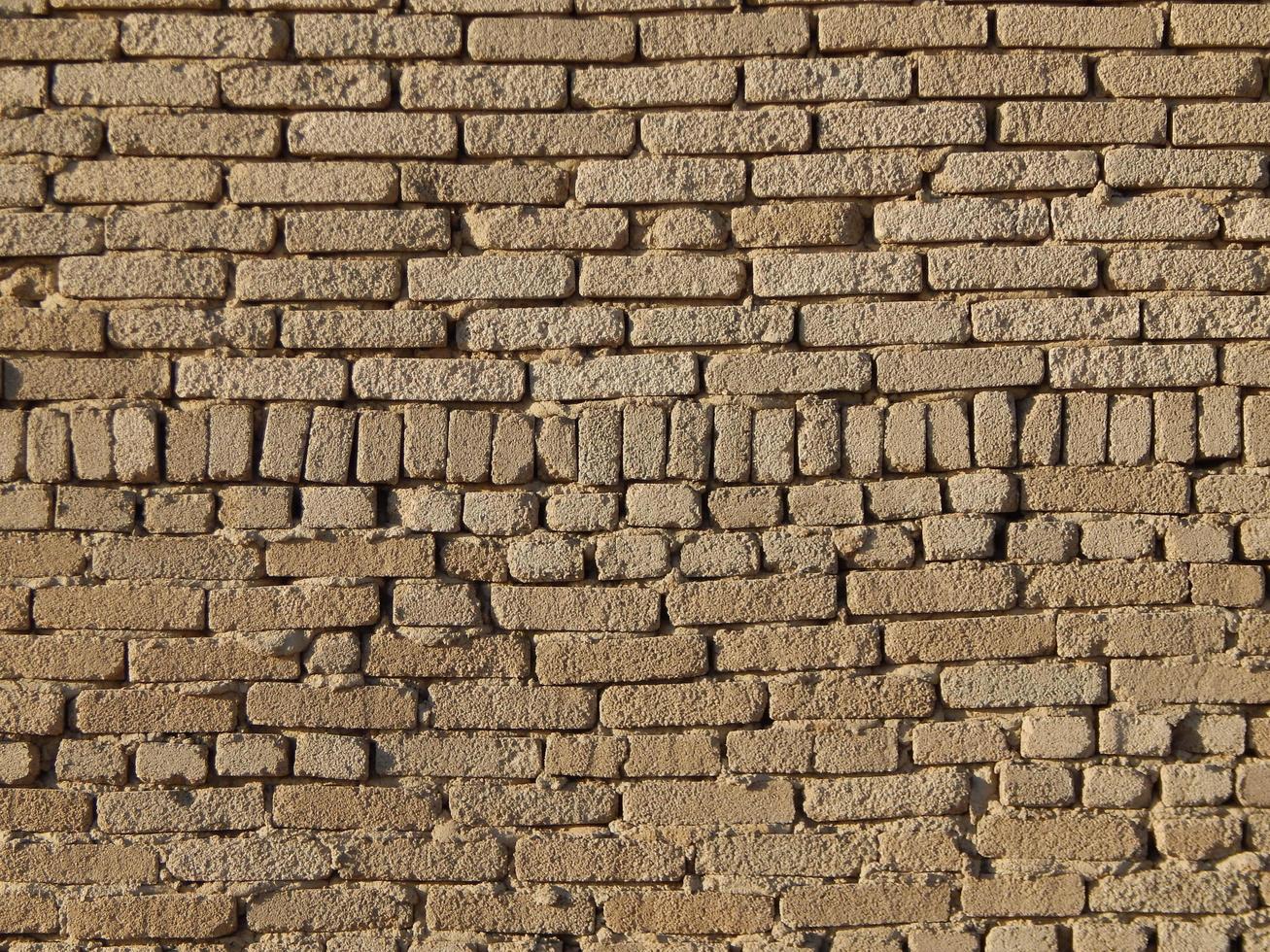 Steintextur am Roten Meer von Ägypten foto