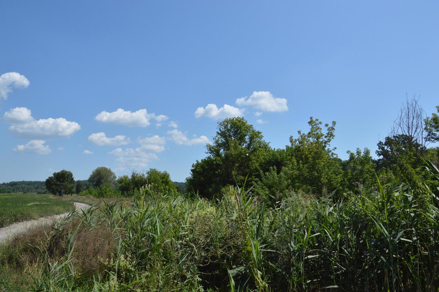 Panorama von Landschaftsfeldern und Straßen im Dorf foto