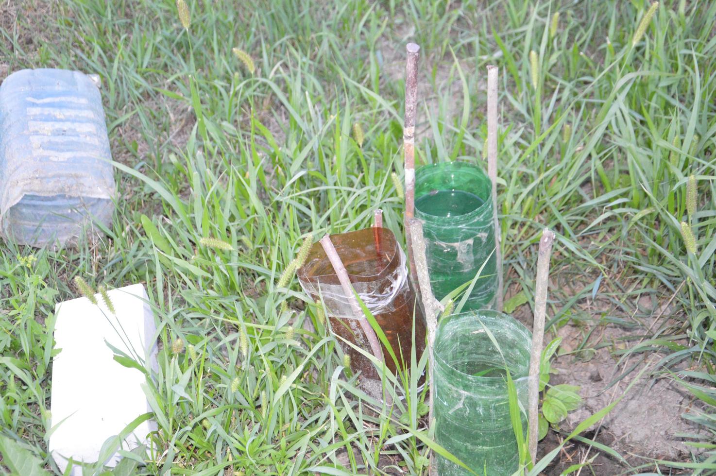 Schutzmechanismus aus Plastikflaschen gegen Maulwürfe für Garten und Gemüse foto