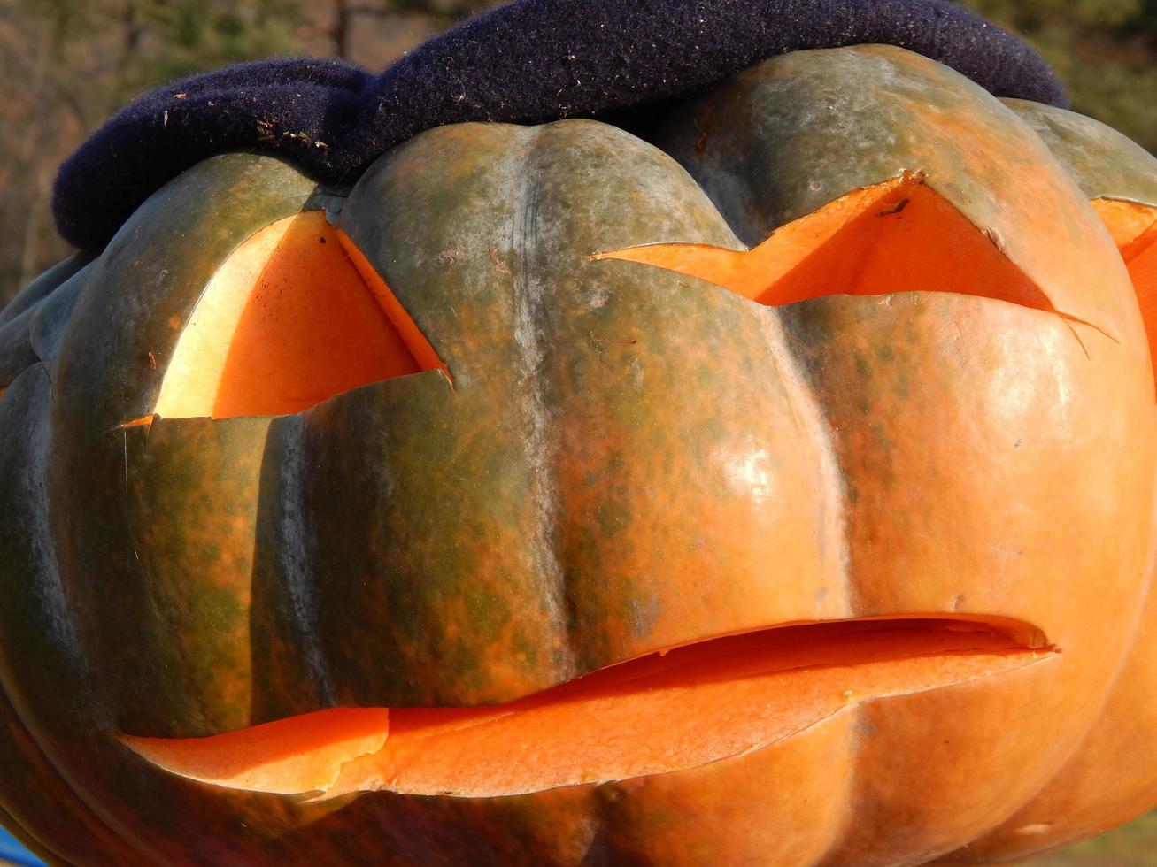 halloween feiertag geschnitzter kürbis foto