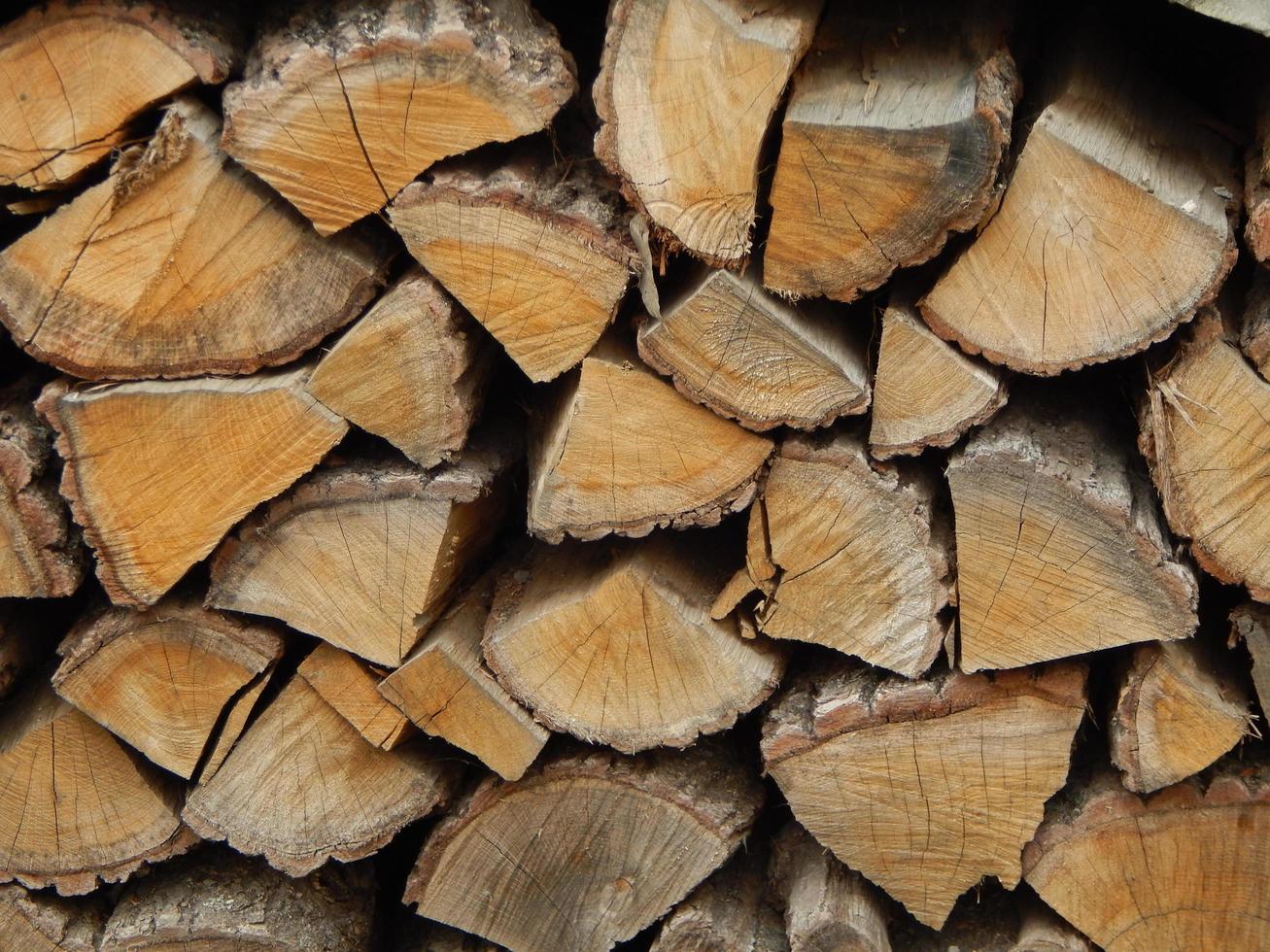 die Textur des Baumes von Stämmen mit unterschiedlichem Durchmesser foto