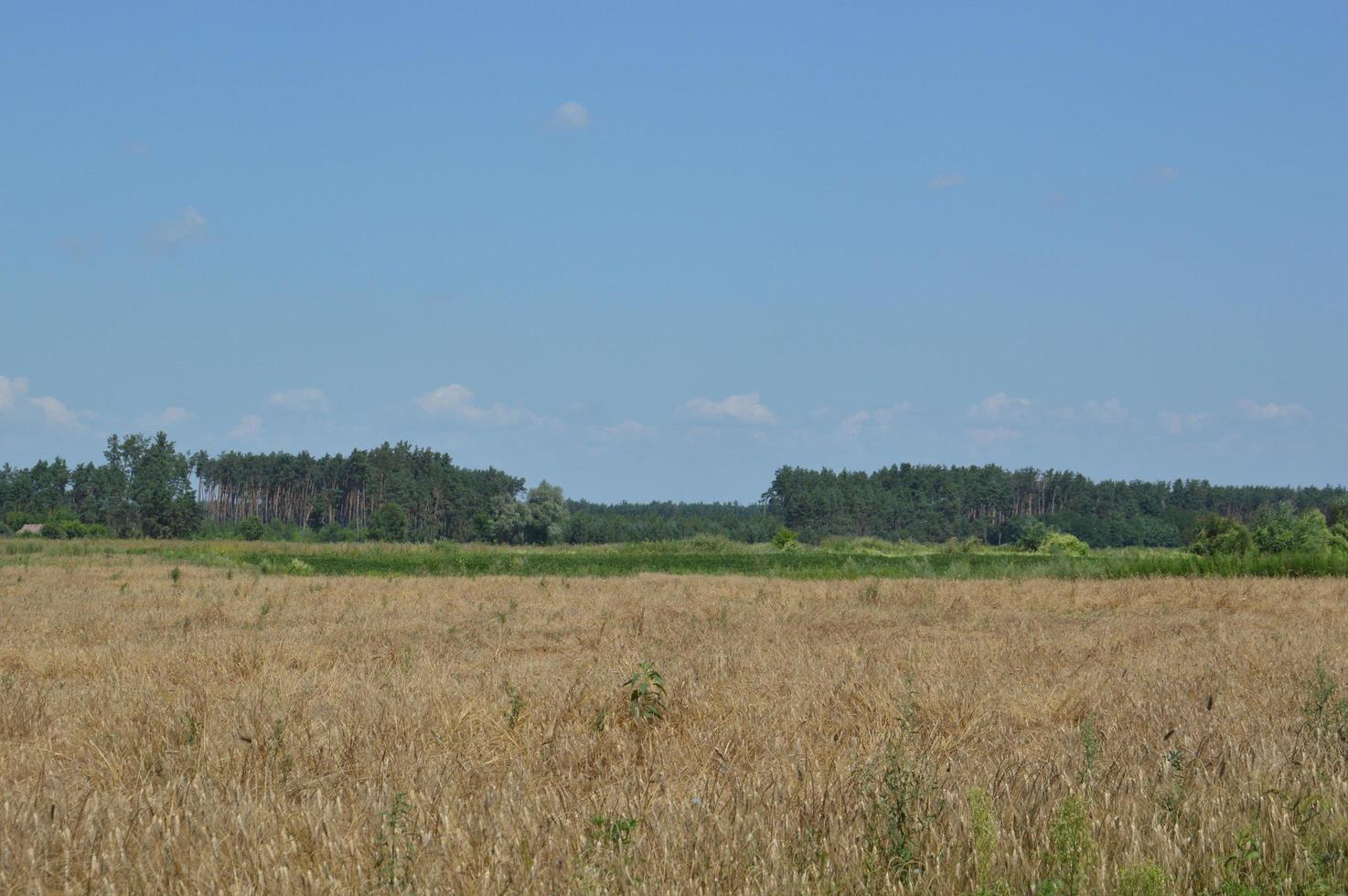 Panorama von Landschaftsfeldern und Straßen im Dorf foto