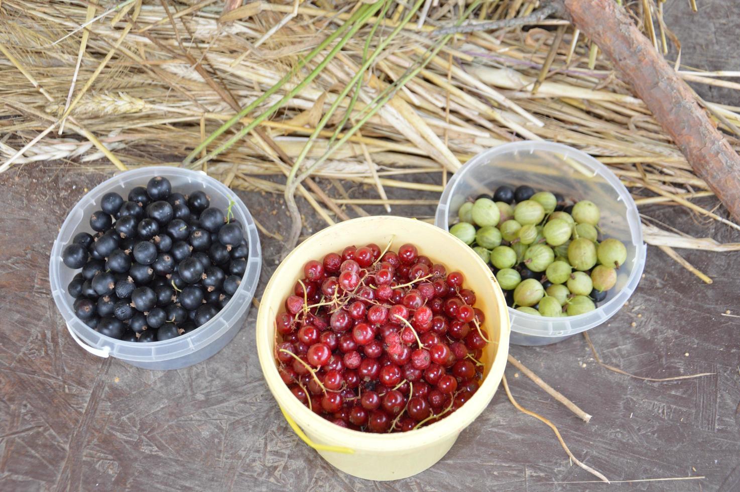 Stillleben mit geernteten Beeren und Gemüse im Garten foto