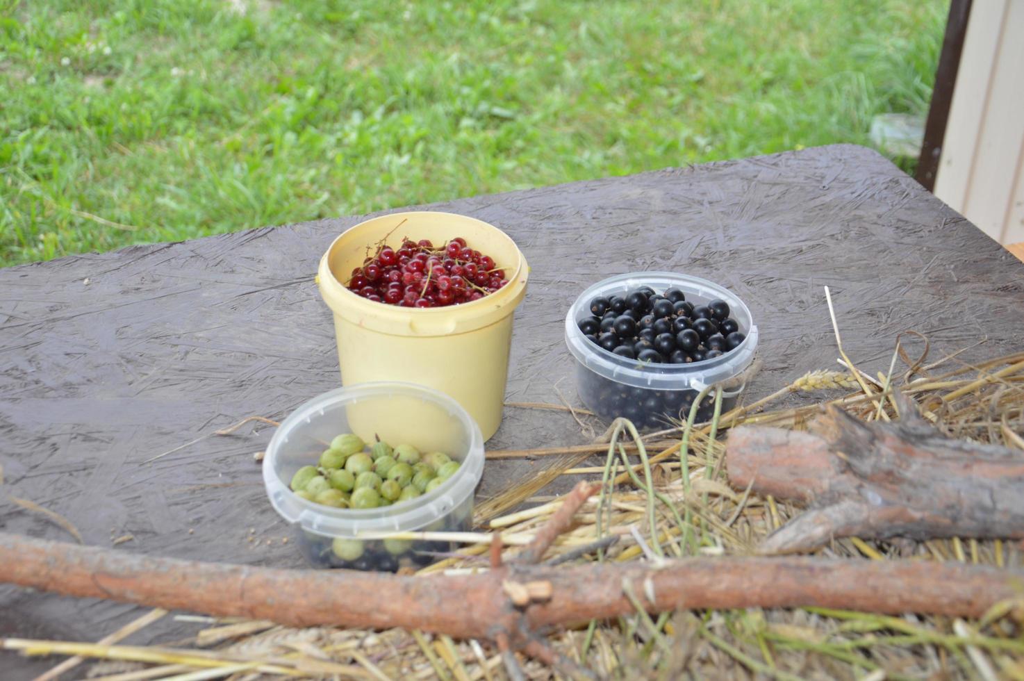 Stillleben mit geernteten Beeren und Gemüse im Garten foto