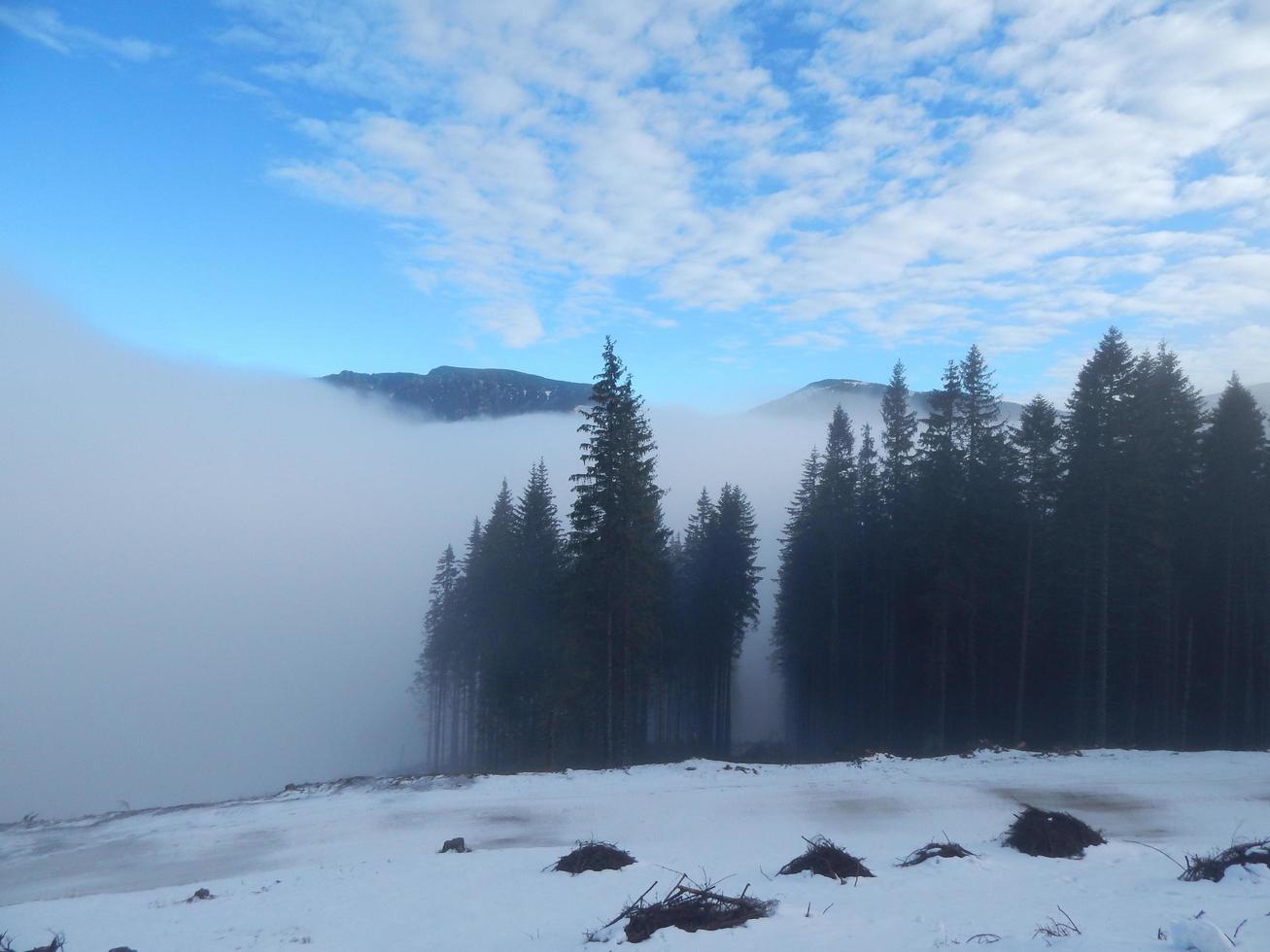 reise in die slowakei für das skigebiet jasna foto