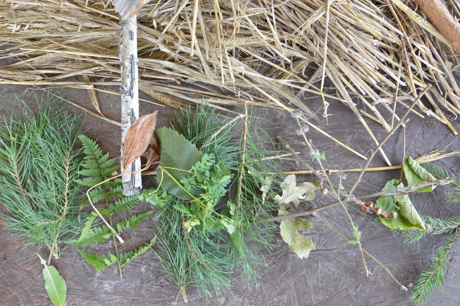 Stillleben mit Waldfrüchten und Pflanzen foto