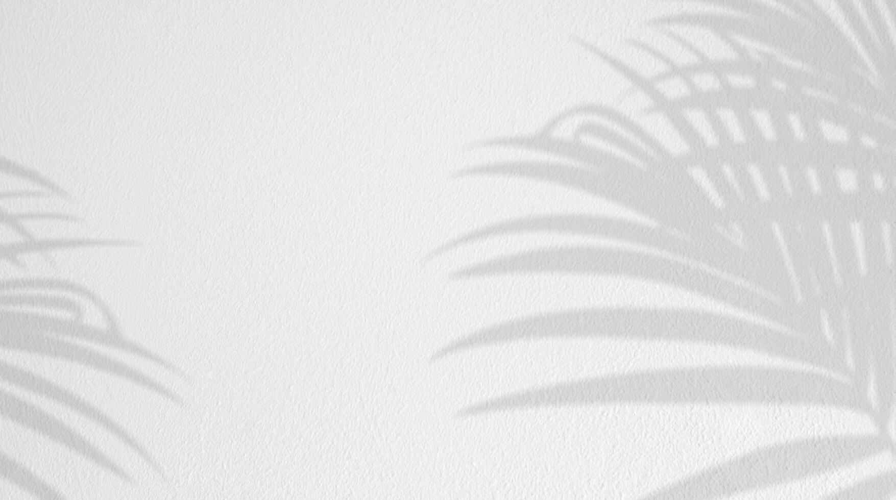 Hintergrund Weiß Mauer Studio mit Licht, Palme Blätter Schatten, leer Anzeige Zimmer Hintergrund mit Sonnenlicht bewirken auf Mauer Textur, Hintergrund Banner Zement Oberfläche, Konzept zum Frühling Sommer kosmetisch Produkt foto