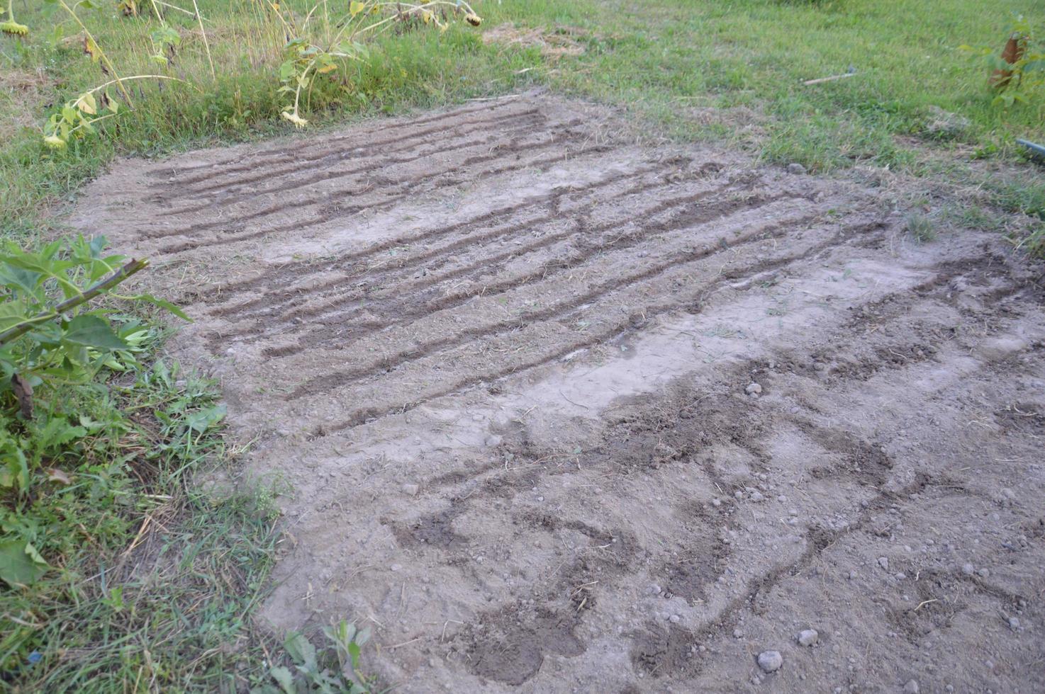 Ackerland zum Anpflanzen von Sideraten im Garten foto