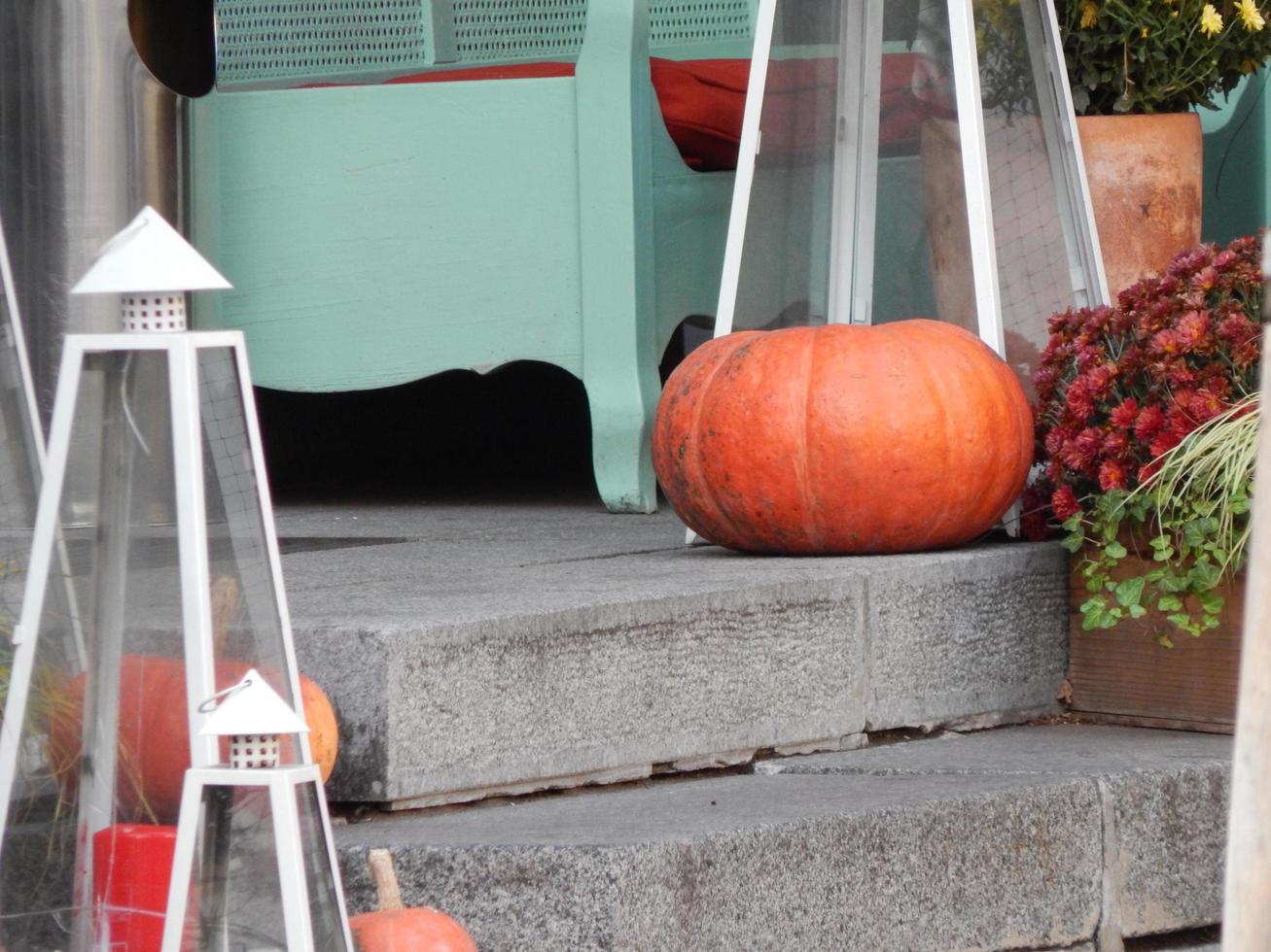 halloween feiertag geschnitzter kürbis foto