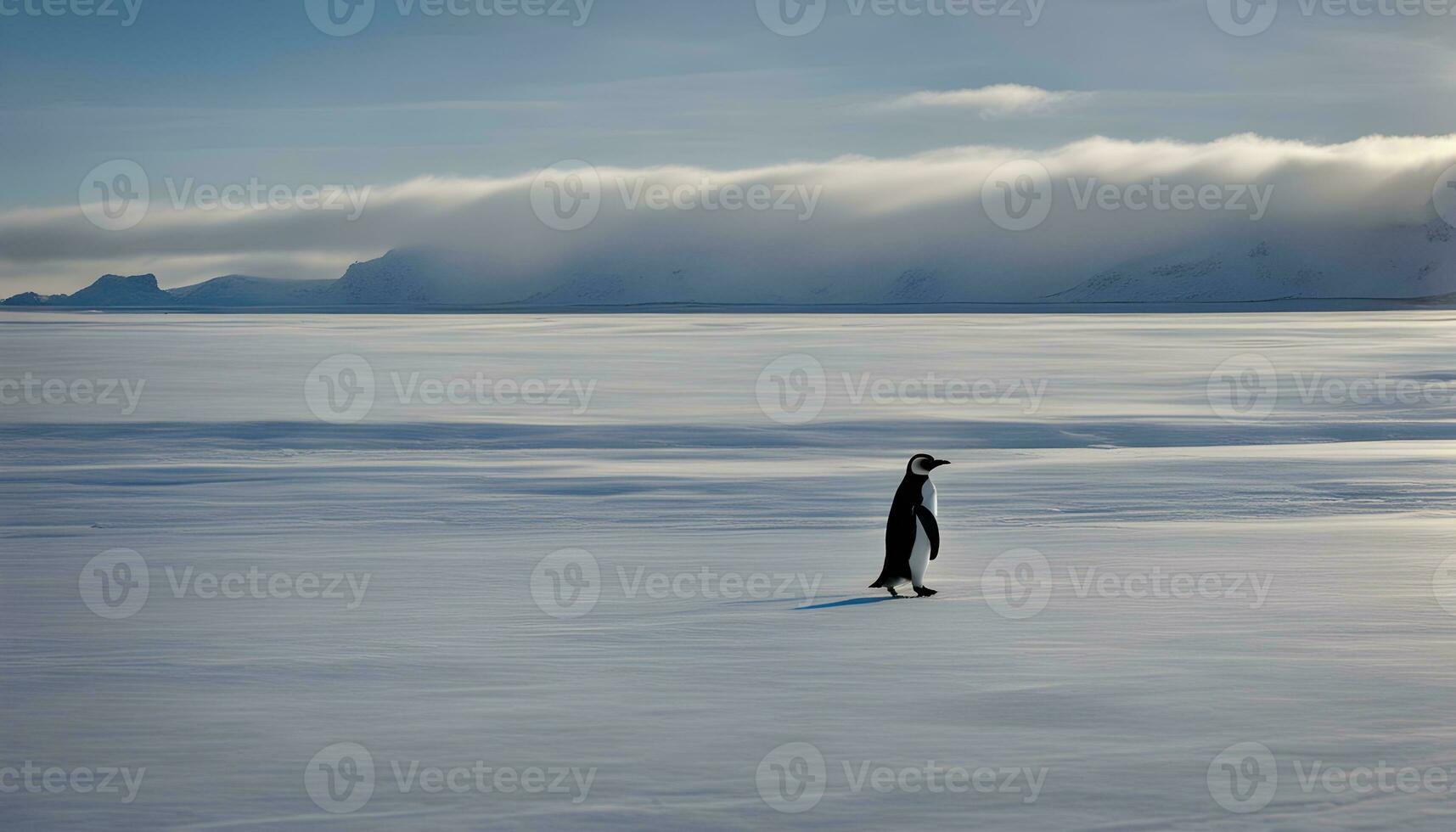 ai generiert ein Pinguin Gehen über ein schneebedeckt Feld foto