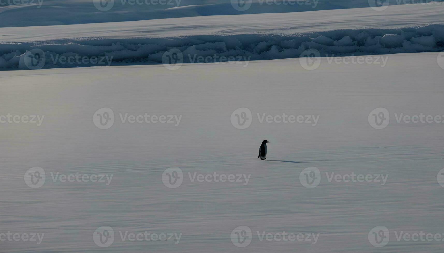 ai generiert ein Pinguin Stehen im das Mitte von ein Schnee bedeckt Feld foto