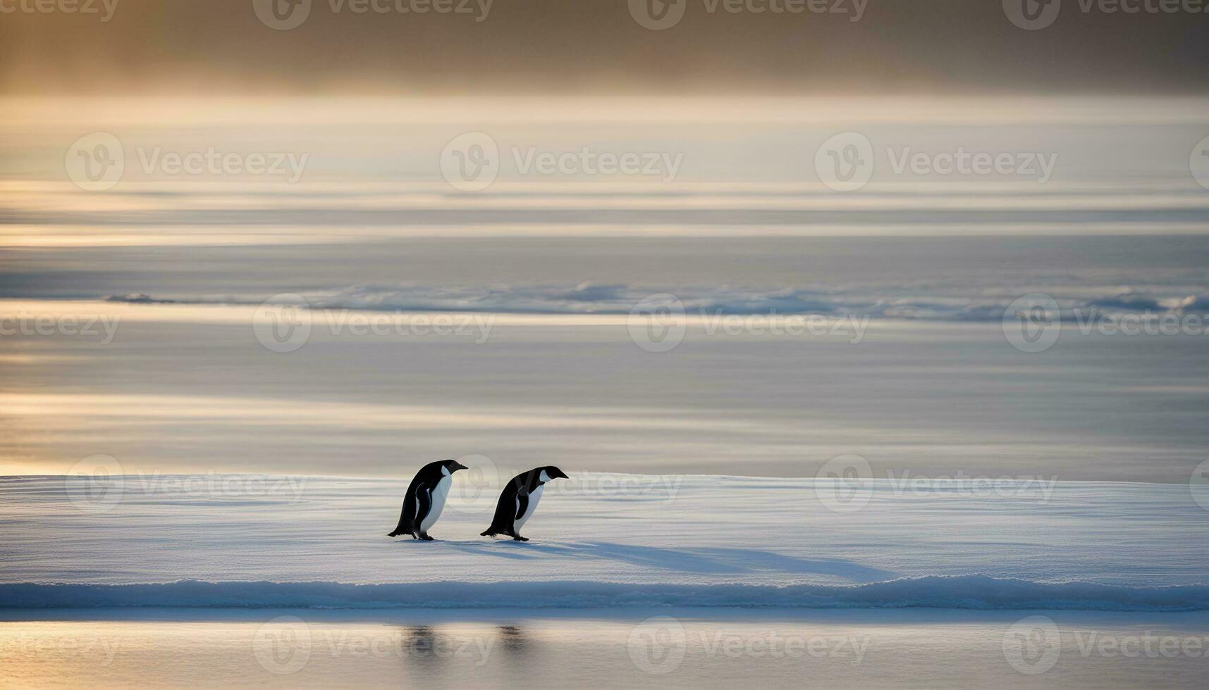 ai generiert zwei Pinguine Gehen über das Eis im das Sonne foto