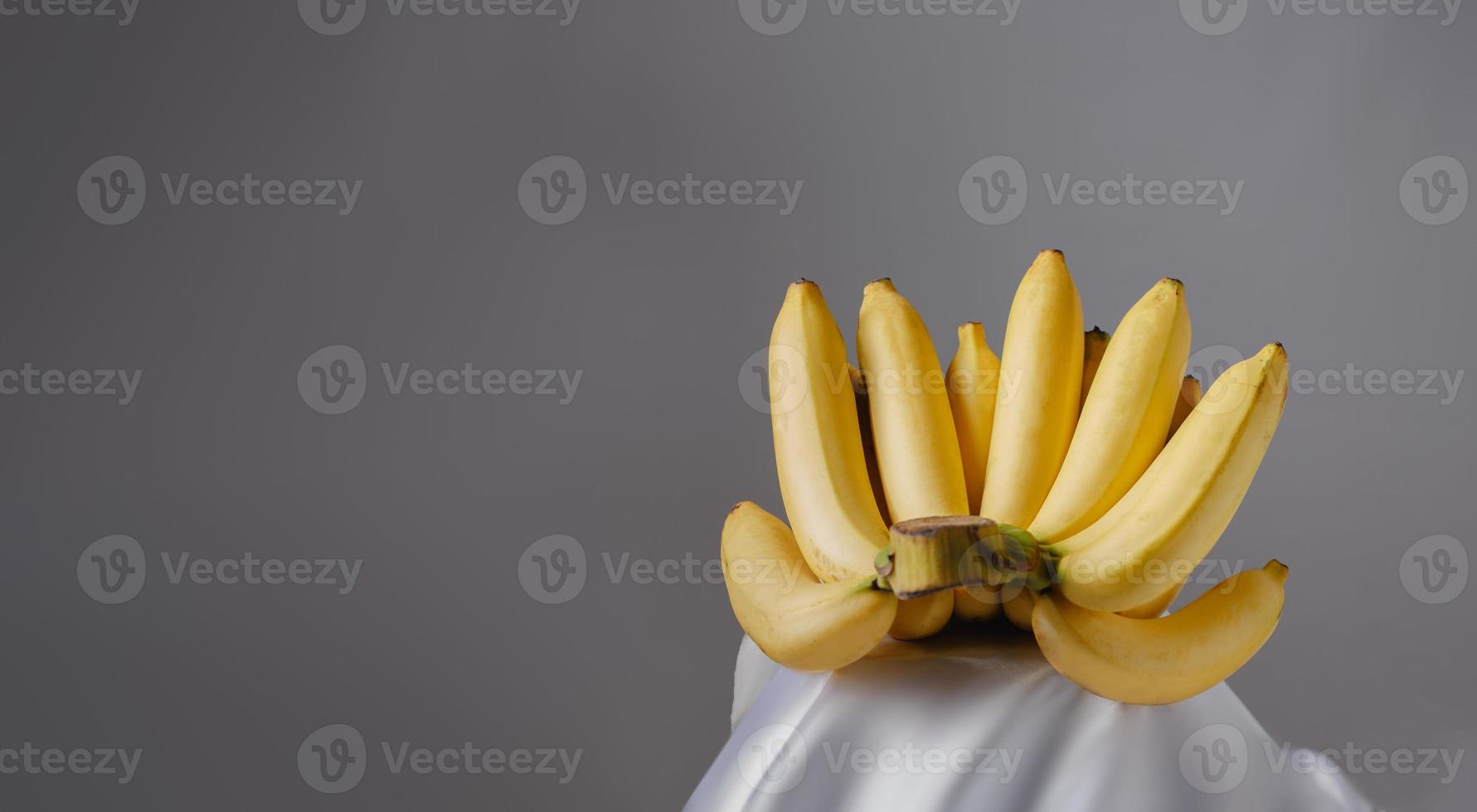 Bananenstaude auf Grau foto