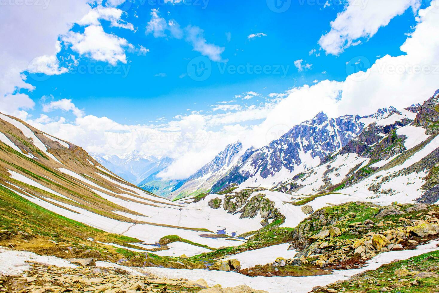 Landschaft im das Berge. Panorama- Aussicht von das oben von sonmarg, Kaschmir Senke im das Himalaya Region. Wiesen, alpin Bäume, Wildblumen und Schnee auf Berg im Indien. Konzept Reise Natur. foto