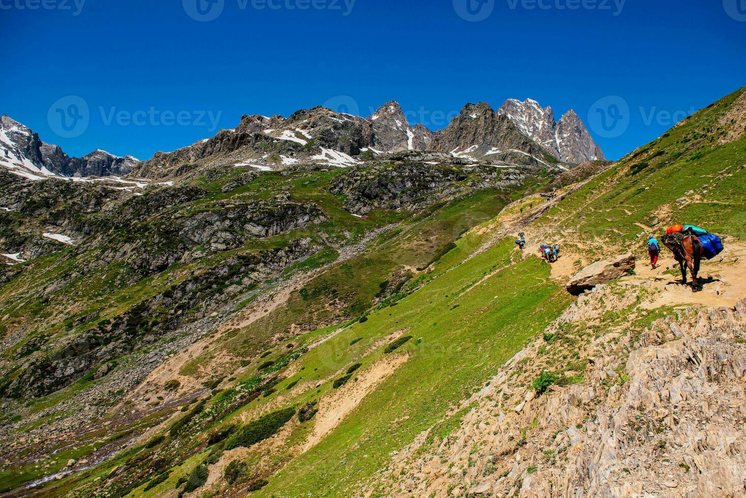 Landschaft im das Berge. Panorama- Aussicht von das oben von sonmarg, Kaschmir Senke im das Himalaya Region. Wiesen, alpin Bäume, Wildblumen und Schnee auf Berg im Indien. Konzept Reise Natur. foto