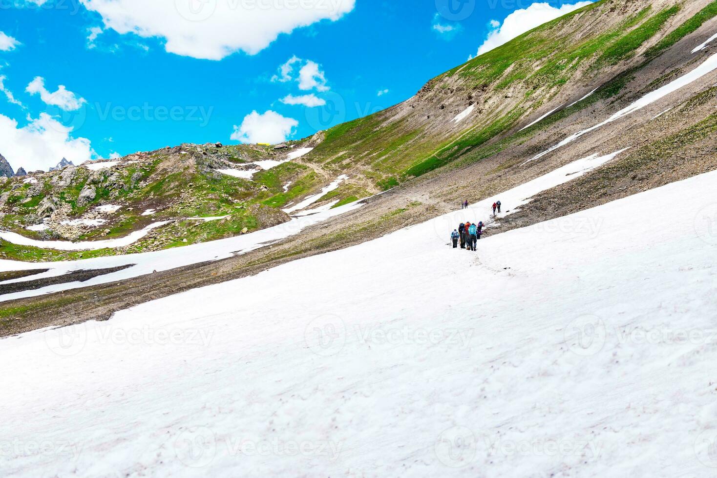 Landschaft im das Berge. Panorama- Aussicht von das oben von sonmarg, Kaschmir Senke im das Himalaya Region. Wiesen, alpin Bäume, Wildblumen und Schnee auf Berg im Indien. Konzept Reise Natur. foto