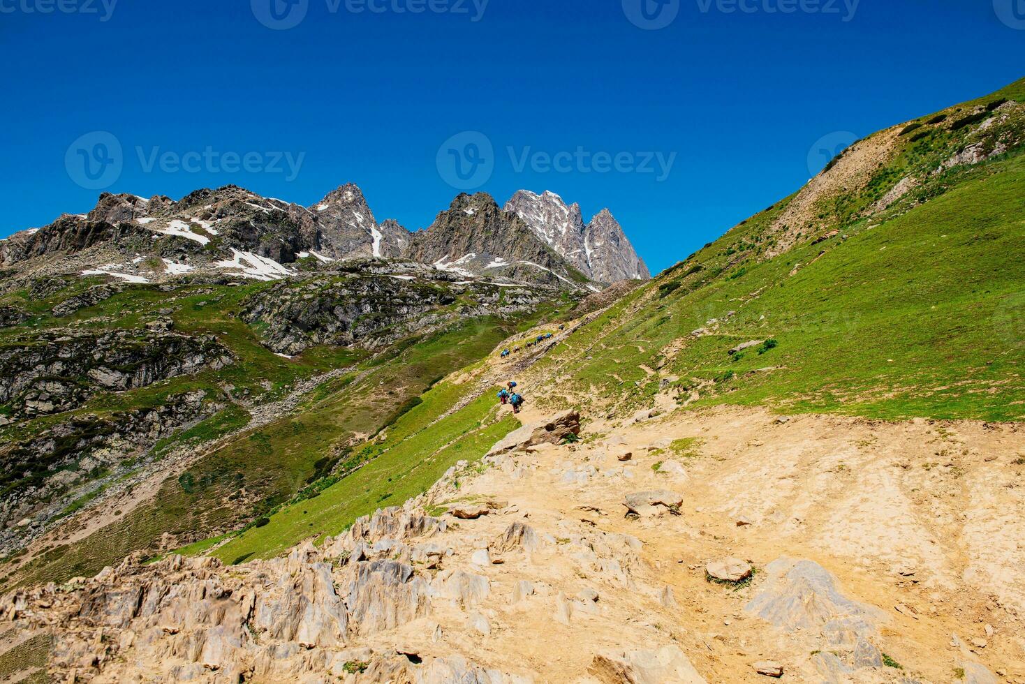 Landschaft im das Berge. Panorama- Aussicht von das oben von sonmarg, Kaschmir Senke im das Himalaya Region. Wiesen, alpin Bäume, Wildblumen und Schnee auf Berg im Indien. Konzept Reise Natur. foto