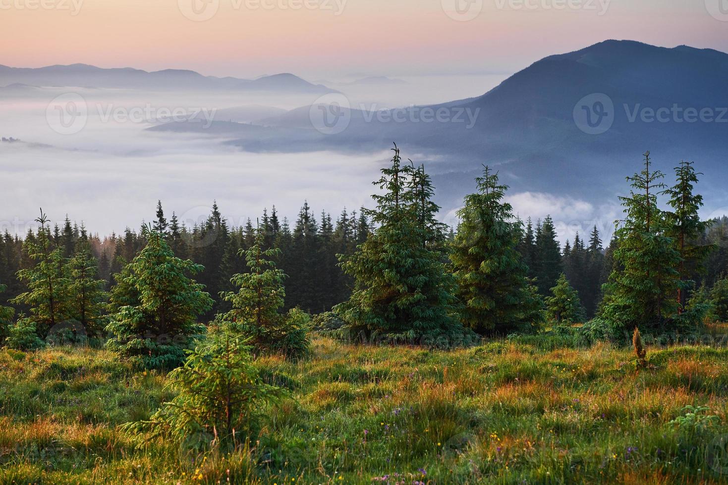 reisen, wandern. Sommerlandschaft - Berge, grünes Gras, Bäume und blauer Himmel foto