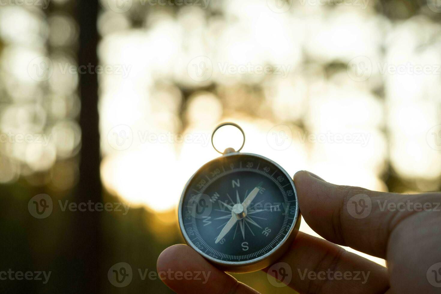 Kompass in der Hand auf natürlichem Kiefernwaldhintergrund. Hand mit Kompass in Waldlandschaft. junger reisender, der richtung mit kompass in den sommerbergen sucht. foto