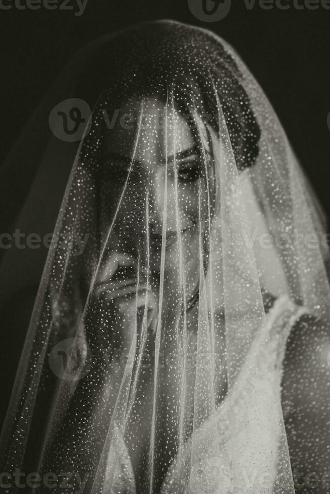 ein Brünette Mädchen ist vorbereiten zum das Hochzeit. Porträt Foto von das Braut im ein Hochzeit Kleid mit ein elegant Frisur und luxuriös bilden, Foto von das Braut unter das Schleier