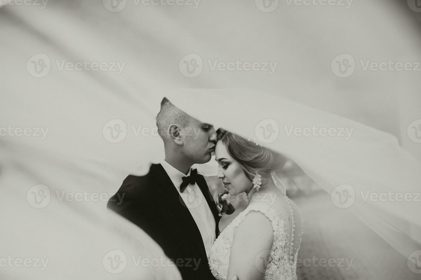 Hochzeit Porträt. ein Brünette Braut im ein lange Kleid und ein Bräutigam im ein klassisch passen Pose unter ein Schleier, er Küsse ihr auf das Wange. foto