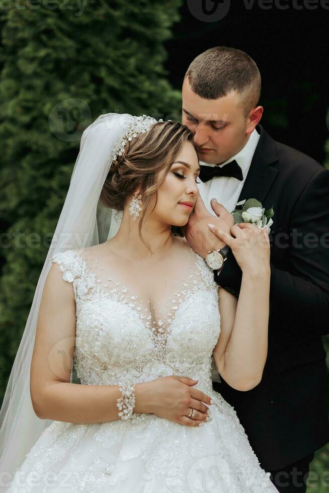 Hochzeit Porträt. das Bräutigam Küsse das Braut. das Braut im ein elegant Kleid, das Bräutigam im ein klassisch passen gegen das Hintergrund von Grün Bäume. sanft berühren. Sommer- Hochzeit. ein gehen im Natur foto