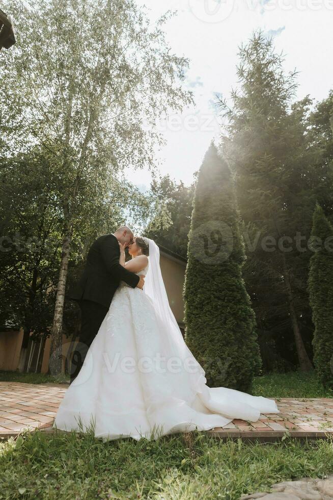 Hochzeit Porträt. das Bräutigam Küsse das Braut. das Braut im ein elegant Kleid, das Bräutigam im ein klassisch passen gegen das Hintergrund von Grün Bäume. sanft berühren. Sommer- Hochzeit. ein gehen im Natur foto