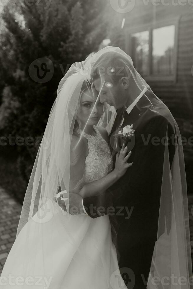 Herrlich glücklich luxuriös Brünette Braut und elegant stilvoll Bräutigam Stand unter ein Schleier und Umarmung zärtlich foto