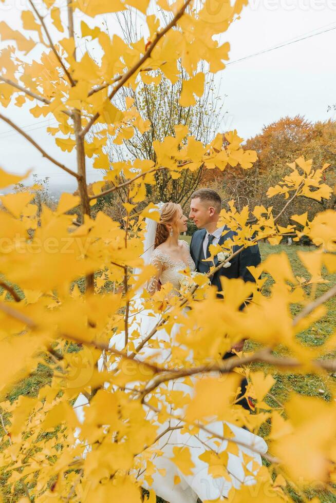 Bräutigam und Braut im Herbst Wald, Hochzeit Zeremonie, Seite Sicht. Bräutigam und Braut auf das Hintergrund von vergilbt Herbst Blätter. das Foto war genommen durch das Vergilbung Blätter von das Bäume