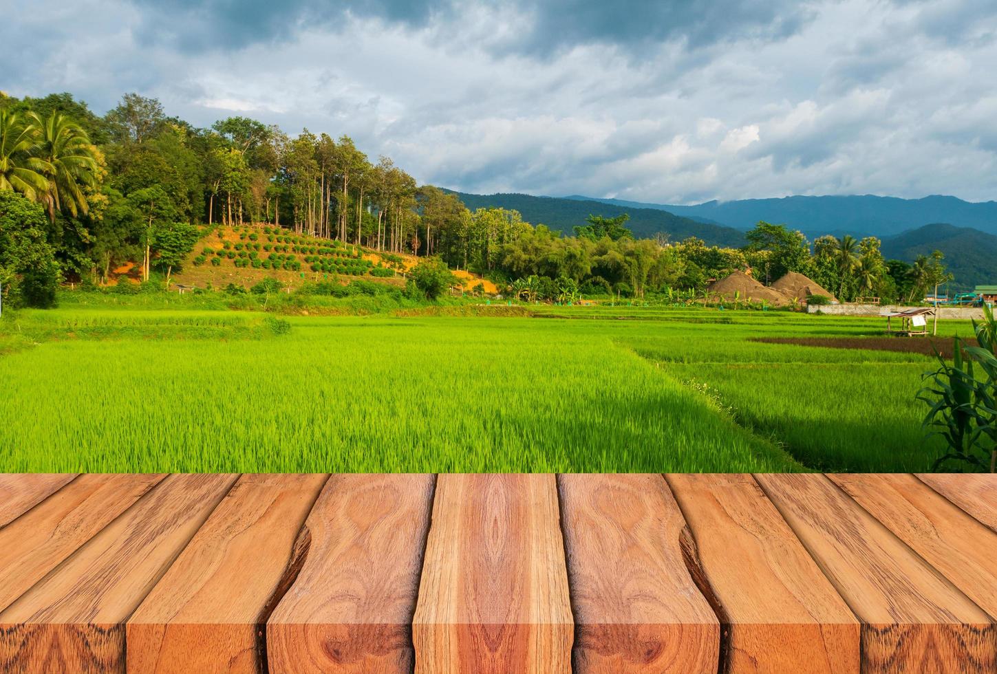 Holzbohlen und wunderschöne Naturlandschaft mit grünen Reisfeldern in der Regenzeit. foto